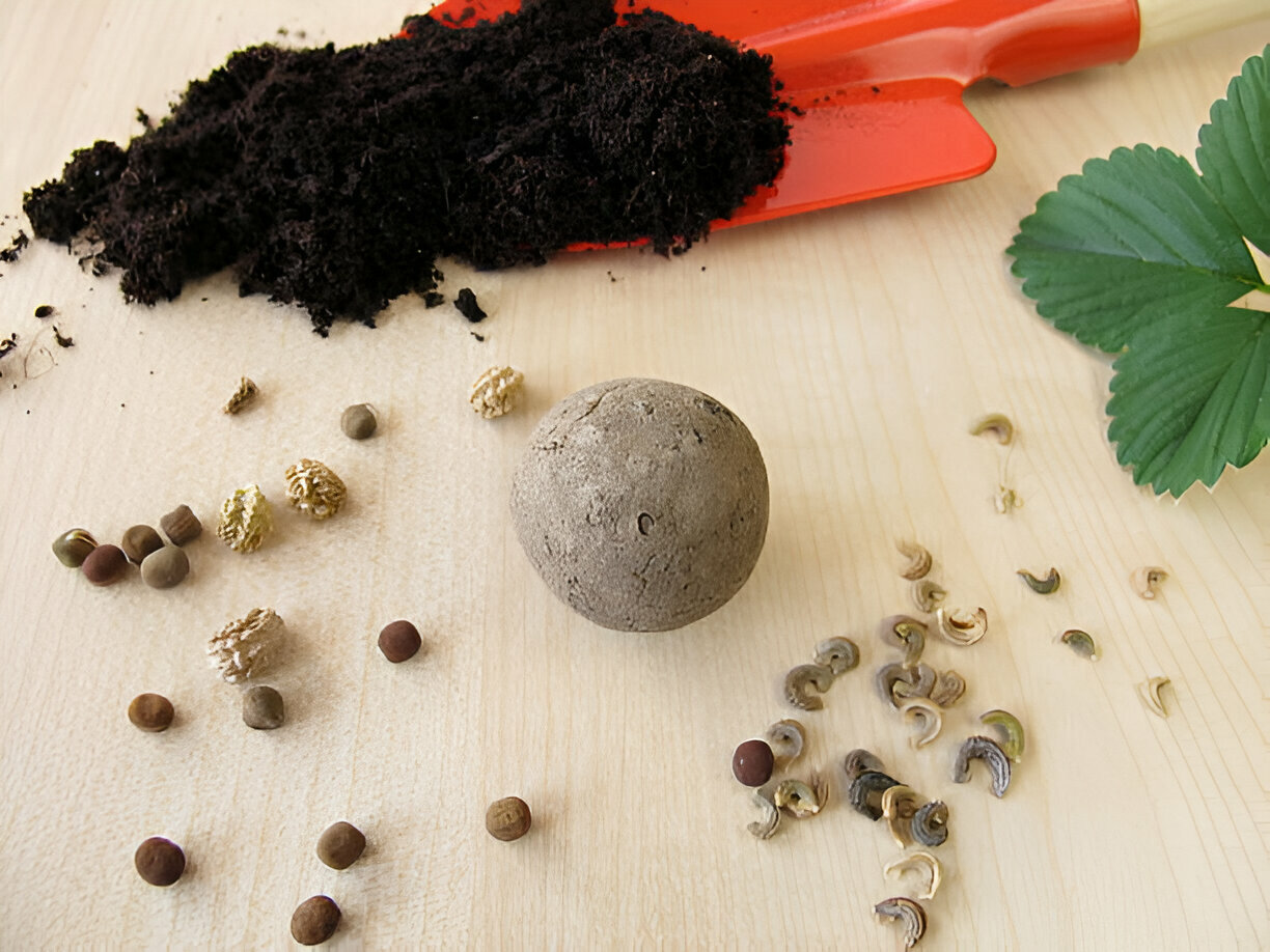 seed bomb workshop