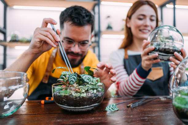 Terrarium Team Building