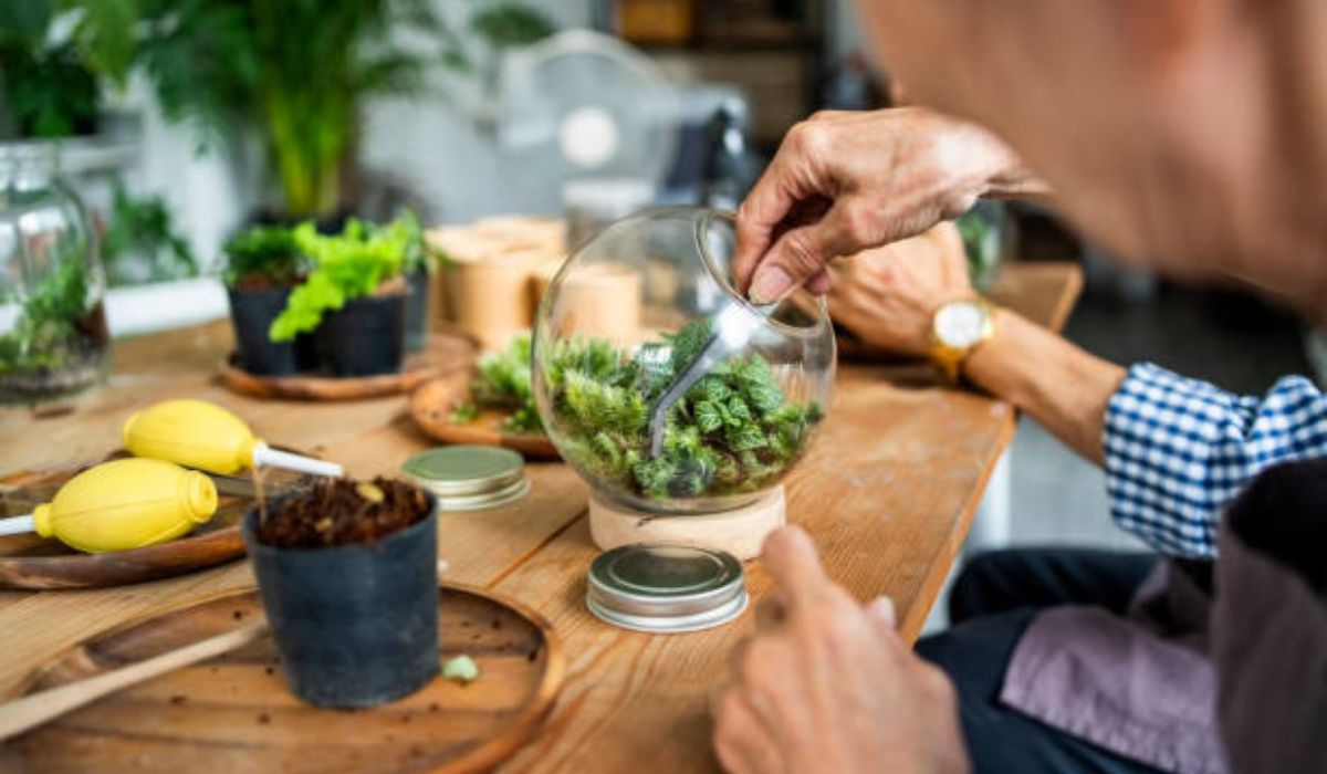 Terrarium Workshop Singapore