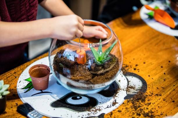 Terrarium Workshop Singapore