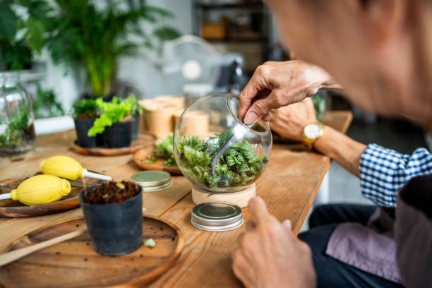 Terrarium Workshops