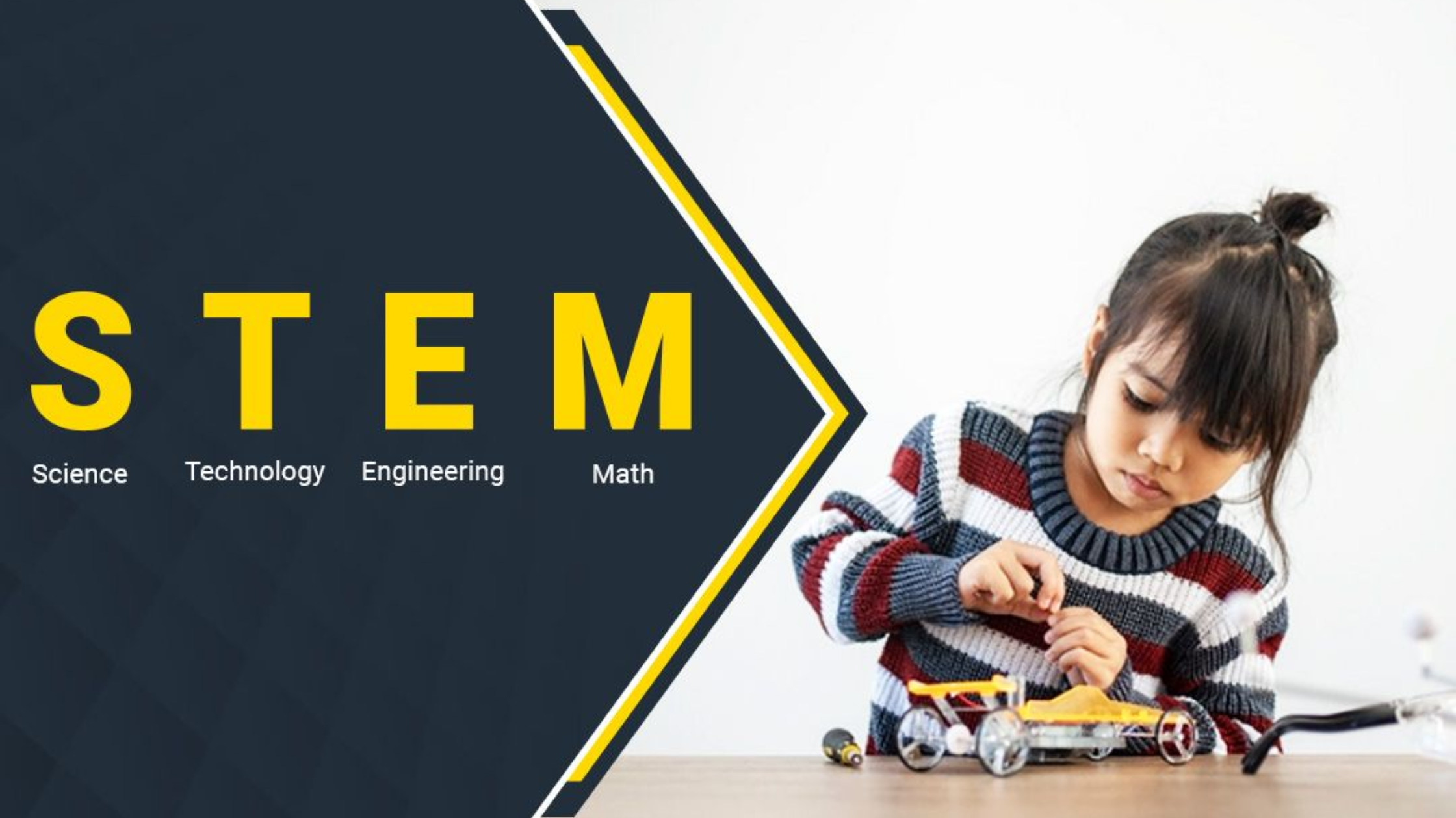 Stem Kit By Tcs
