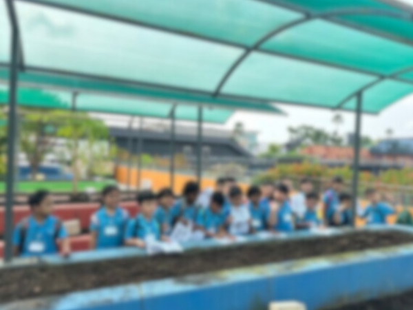 Kindergarten Workshops - Copy - Workshops For Preschoolers - Ecoponics Singapore - 2026