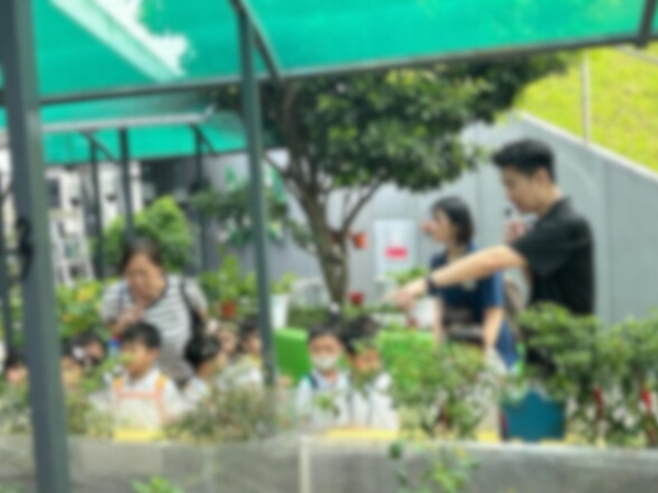 Kindergarten Workshops - Copy - Workshops For Preschoolers - Ecoponics Singapore - 2026
