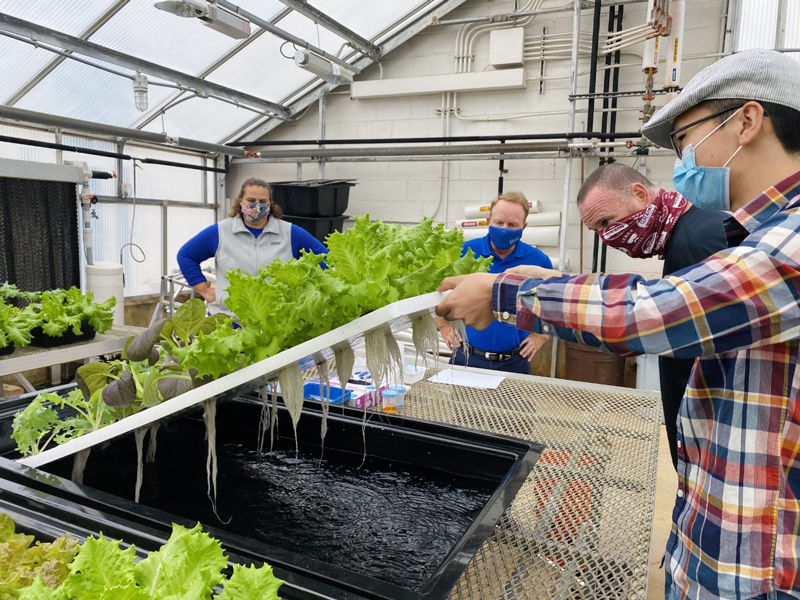 Inside Ecoponics Hydroponics Workshop Experience In Singapore - Ecoponics Singapore - 2026