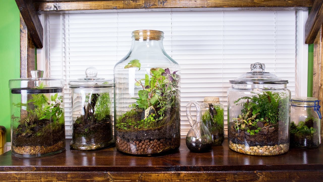 Build Nature In Glass: Inside The Ecoponics Terrarium Workshop - Ecoponics Singapore - 2026
