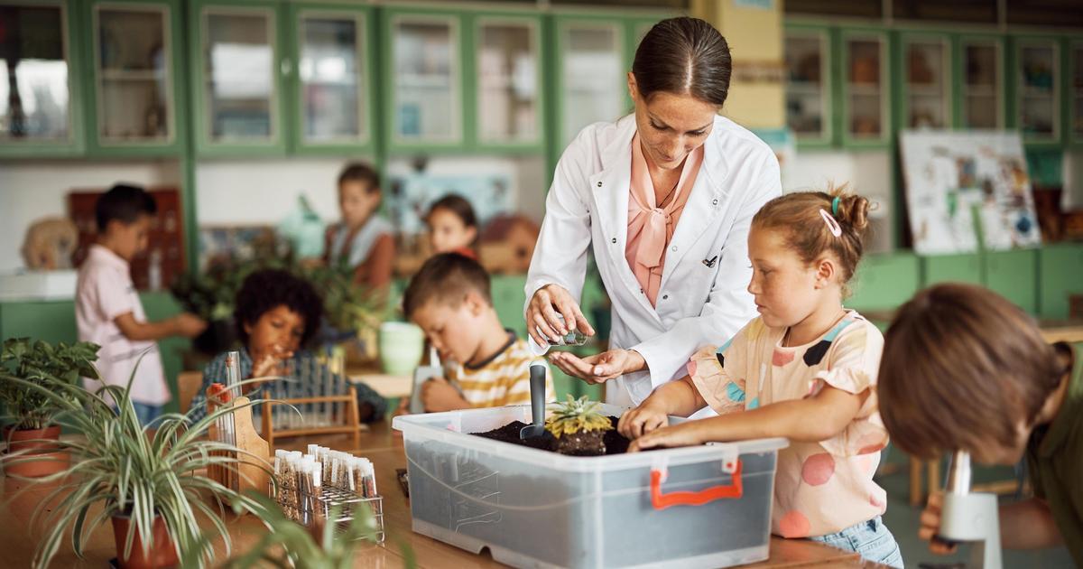 Home - Science And Environmental Sustainability Workshops In Singapore - Ecoponics Singapore - 2026