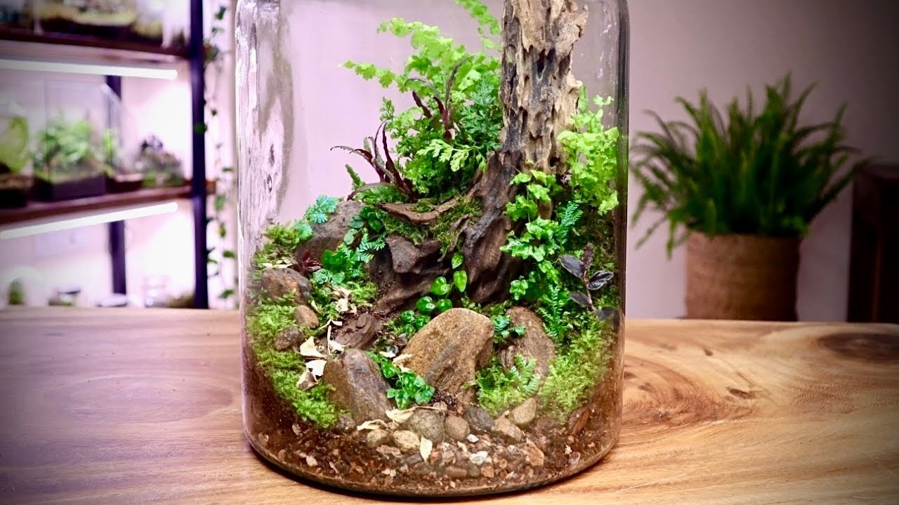 How The Right Soil Mix Helps Your Terrarium Plants Thrive - Ecoponics Singapore - 2026 How The Right Soil Mix Helps Your Terrarium Plants Thrive - Ecoponics Singapore - 2026
