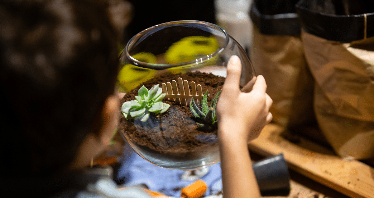 Terrarium Workshops: A Calming Creative Activity For All Ages - Ecoponics Singapore - 2026 Terrarium Workshops: A Calming Creative Activity For All Ages - Ecoponics Singapore - 2026