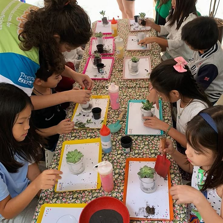 Why Terrarium Workshops Are Trending In Singapore Schools - Ecoponics Singapore - 2026