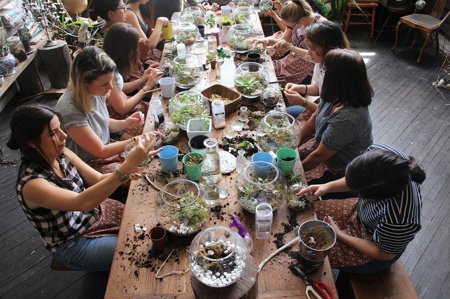 Home - Terrarium Workshops - Ecoponics Singapore - 2026