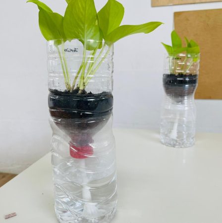 Upcycled Pet Bottle Self-Watering Planter Upcycled Pet Bottle Self-Watering Planter