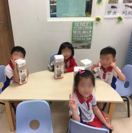 Mushroom Workshop Preschool