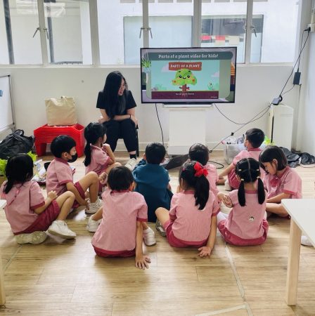 Ecoponics: Science And Environmental Sustainability Workshops In Singapore Ecoponics