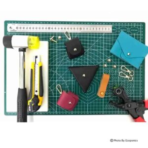 Corporate Workshops - corporate workshops - Ecoponics Singapore - 2025